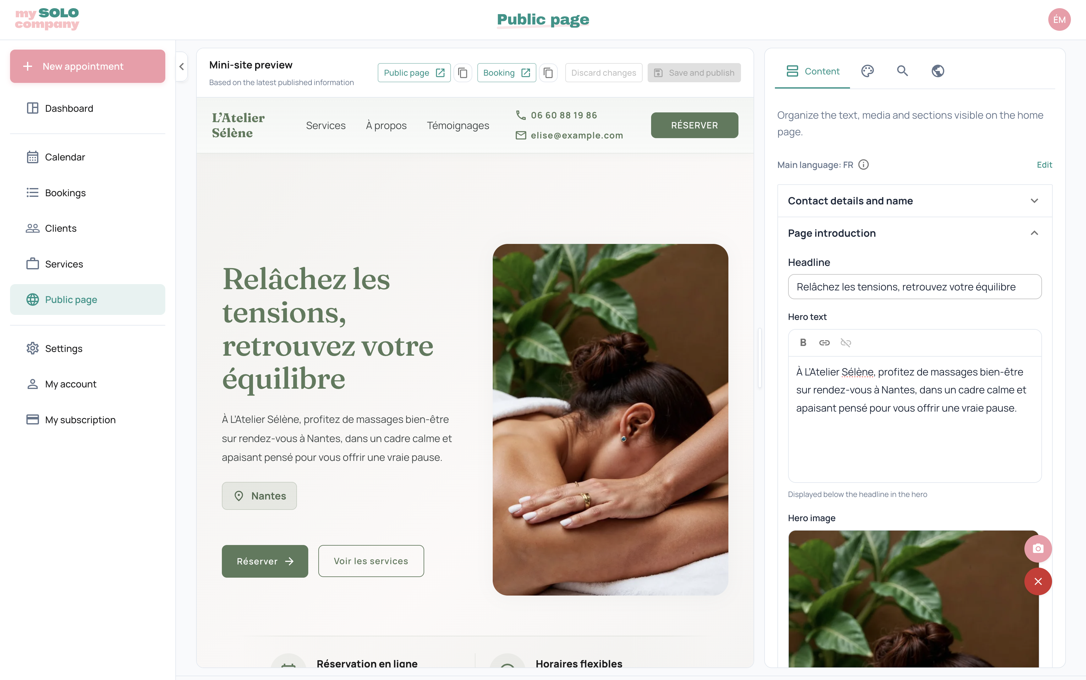 Preview of the My Solo Company public page editor